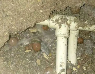 安吉卫生间测漏