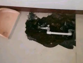 安吉卫生间测漏水多少钱